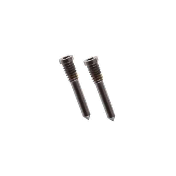 iPhone 13 Pro Bottom Screws Gold (2 pcs)